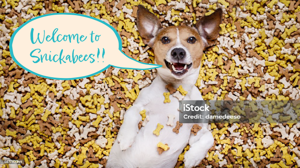 Terrier laying on back in treats. Speech bubble to the left of the dog that reads, "Welcome to Snickabees!!"